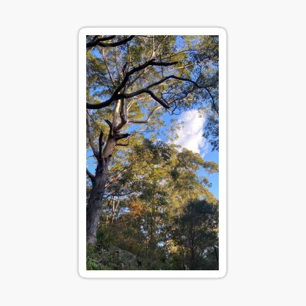 Item preview, Forest tree designed and sold by LuminousLensAU.