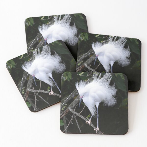 Item preview, Snowy Egret  designed and sold by MercerImages.
