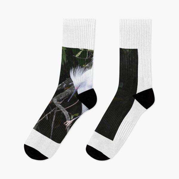 Item preview, Snowy Egret  designed and sold by MercerImages.