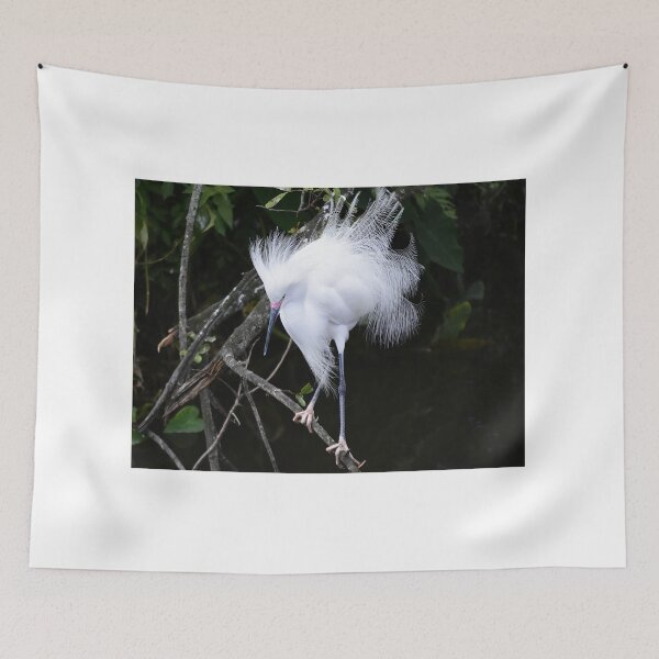 Item preview, Snowy Egret  designed and sold by MercerImages.
