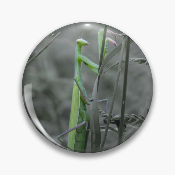 Item preview, mantis designed and sold by monika-holle.