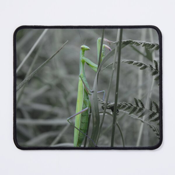 Item preview, mantis designed and sold by monika-holle.
