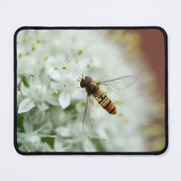 Item preview, Hover Fly on Flower designed and sold by LivingDeadGirlx.