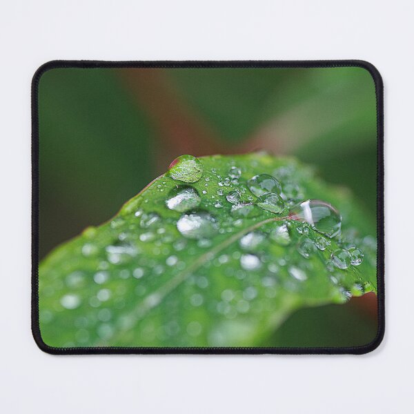 Item preview, Raindrops on a green leaf  designed and sold by LivingDeadGirlx.
