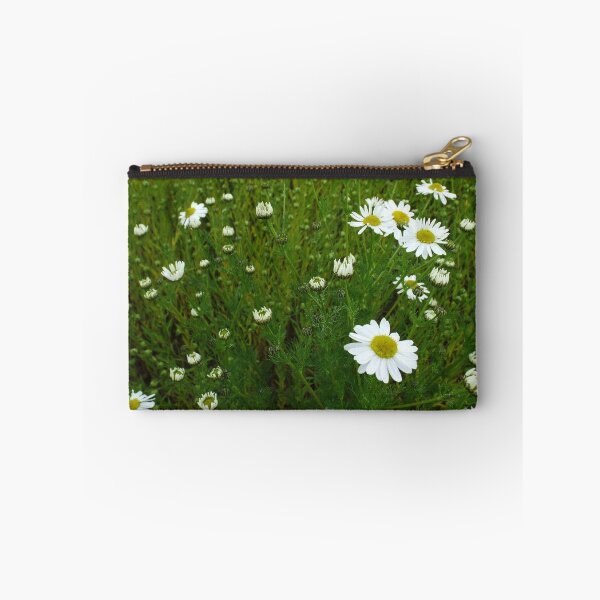 Item preview, Daisies 1 designed and sold by MeyrellesMartin.