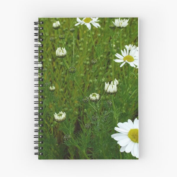 Item preview, Daisies 1 designed and sold by MeyrellesMartin.