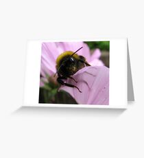 Looking around the corner Greeting Card