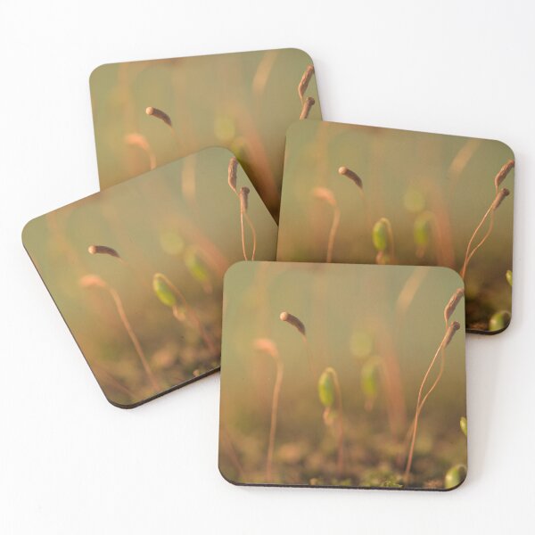 Item preview, Dreamlike Moss-scape designed and sold by duncandragon.