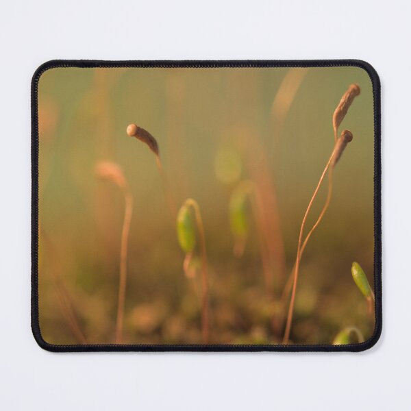 Item preview, Dreamlike Moss-scape designed and sold by duncandragon.