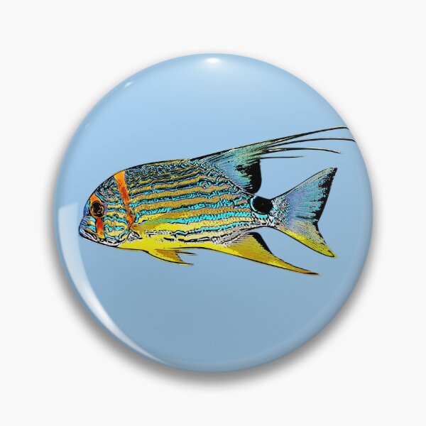 Item preview, Sailfin Snapper Black Alternate Design  designed and sold by designsasstultd.