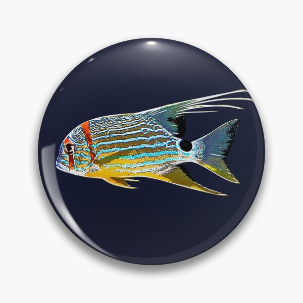Item preview, Sailfin Snapper White Alternate Design  designed and sold by designsasstultd.