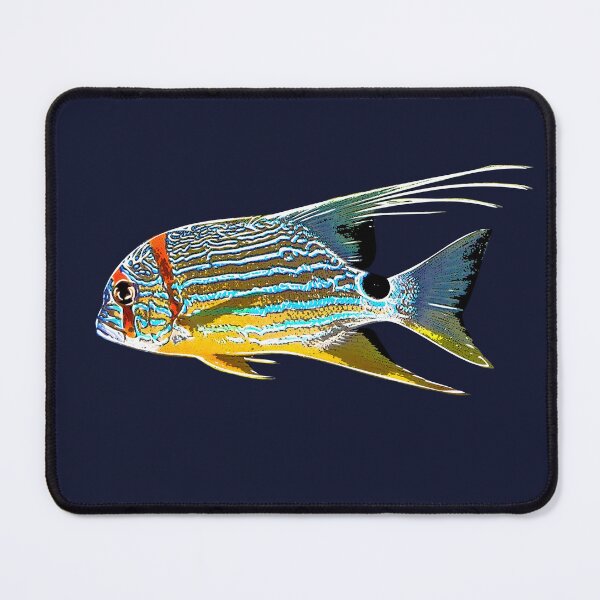 Item preview, Sailfin Snapper White Alternate Design  designed and sold by designsasstultd.