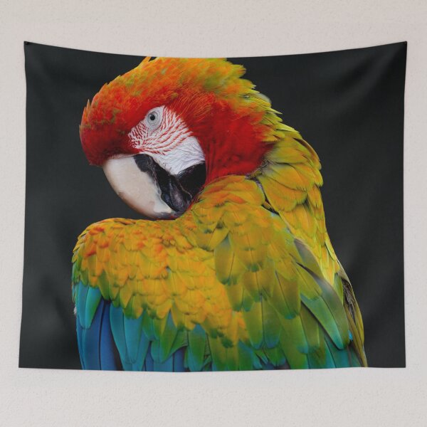 Item preview, Parrot  designed and sold by Md1982.