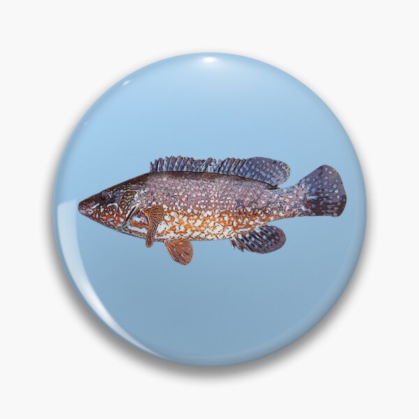 Item preview, Ballan Wrasse Color Design  designed and sold by designsasstultd.
