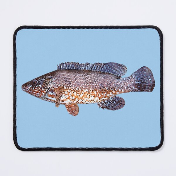 Item preview, Ballan Wrasse Color Design designed and sold by designsasstultd.