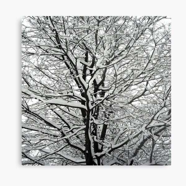 Item preview, Snowy Tree designed and sold by Looteez-art.