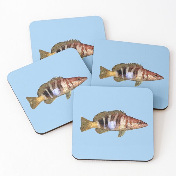 Item preview, Painted Comber Color Design  designed and sold by designsasstultd.