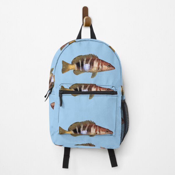 Item preview, Painted Comber Color Design  designed and sold by designsasstultd.