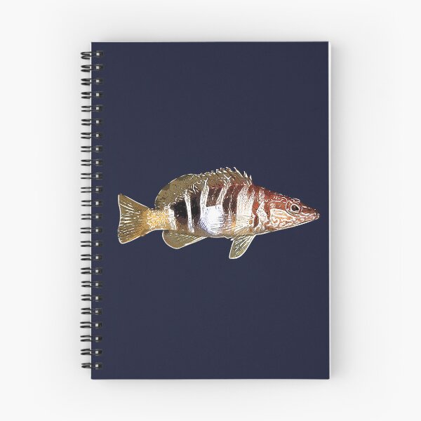 Item preview, Painted Comber White Alternate Design  designed and sold by designsasstultd.