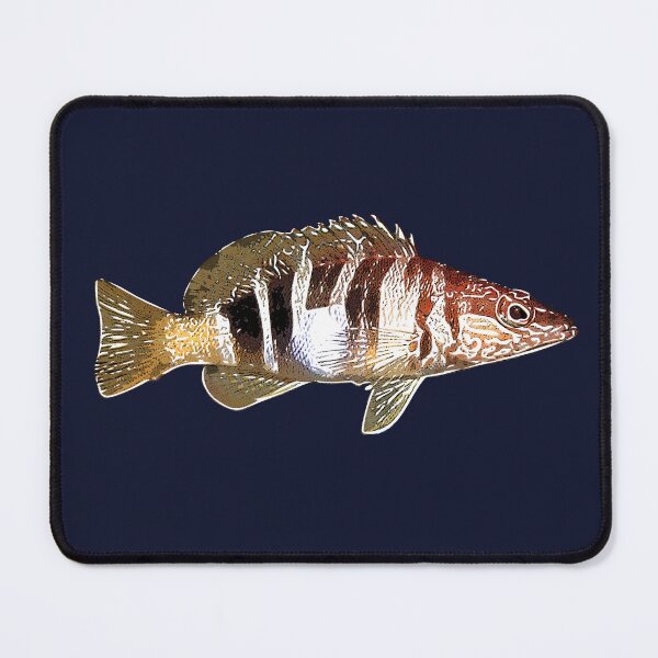 Item preview, Painted Comber White Alternate Design  designed and sold by designsasstultd.