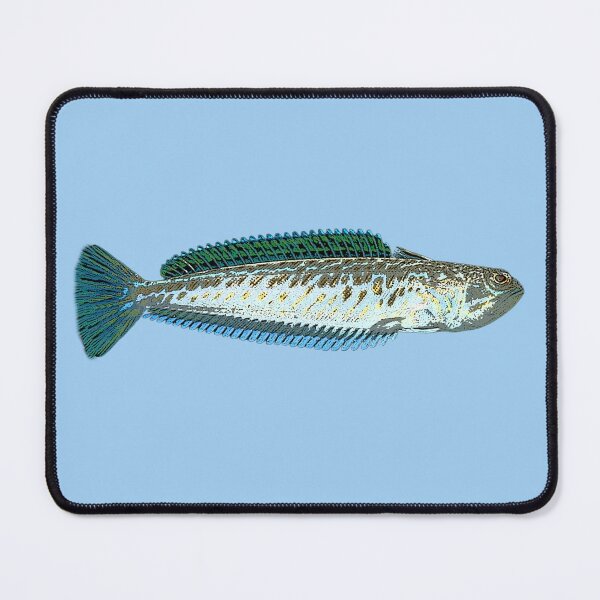Item preview, Greater Weever Color Design designed and sold by designsasstultd.