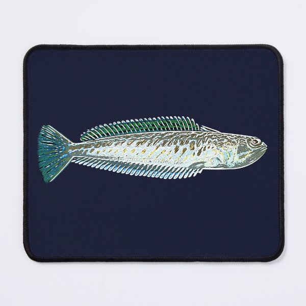 Item preview, Greater Weever White Alternate Design  designed and sold by designsasstultd.