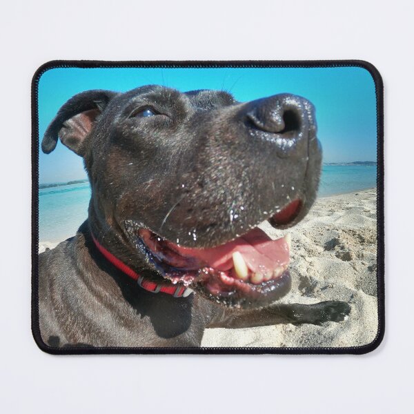 Item preview, Staffy at the beach designed and sold by Patwg.