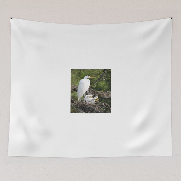 Item preview, New Great Egret Family designed and sold by richardbryce.