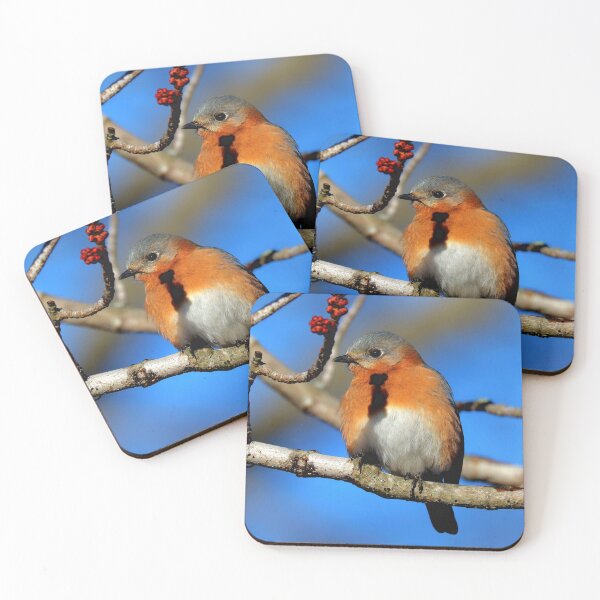 Item preview, Eastern Blue Bird  designed and sold by Parks and X.