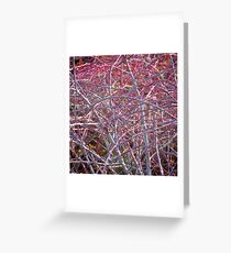 Barbed Greeting Card