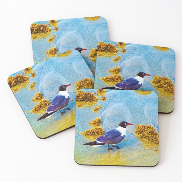 Item preview, Laughing Gull designed and sold by Kay Brewer.