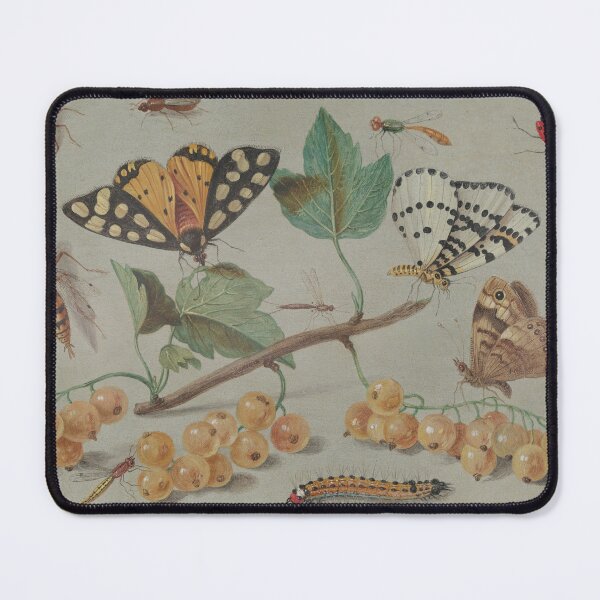 Item preview, Study of Butterfly and Insects c. 1655 designed and sold by botanicalworks.
