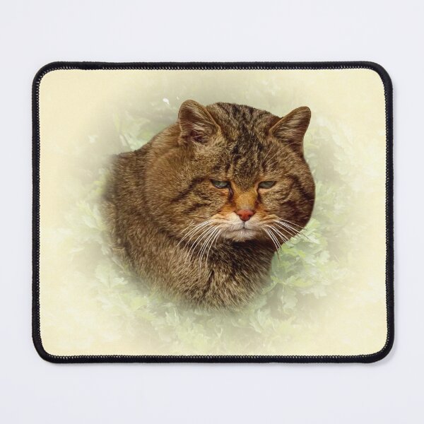 Item preview, Wild Cat designed and sold by Guardi71.
