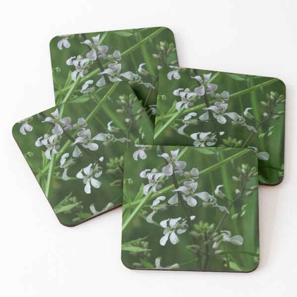Item preview, White Flowers in the Forest Undergrowth designed and sold by WolfNoodles.