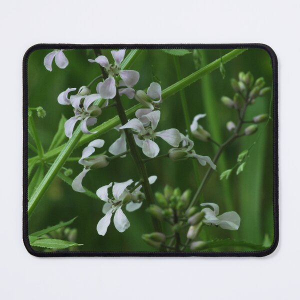 Item preview, White Flowers in the Forest Undergrowth designed and sold by WolfNoodles.