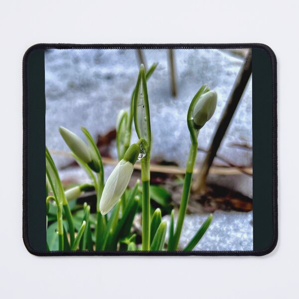 Item preview, First Flowers of Spring designed and sold by JWPortman.