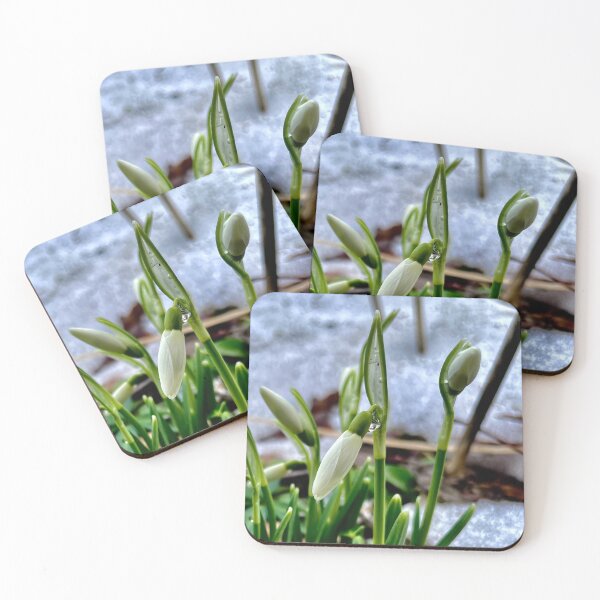 Item preview, First Flowers of Spring designed and sold by JWPortman.