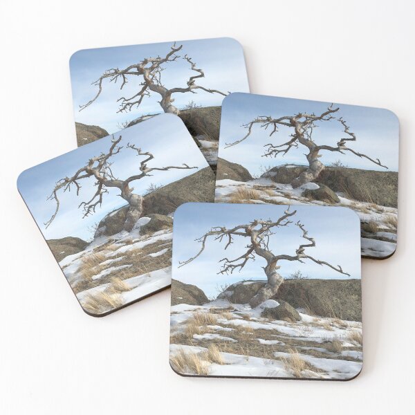 Item preview, Craggy Tree in Vedauwoo designed and sold by Mountain Westscapes.