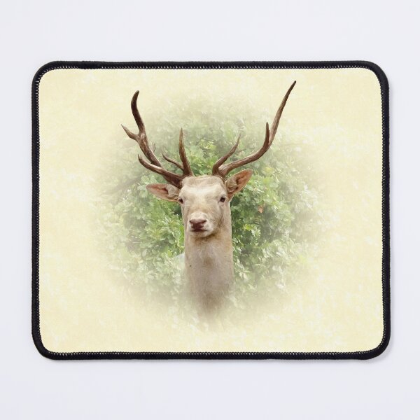 Item preview, White Fallow Deer designed and sold by Guardi71.