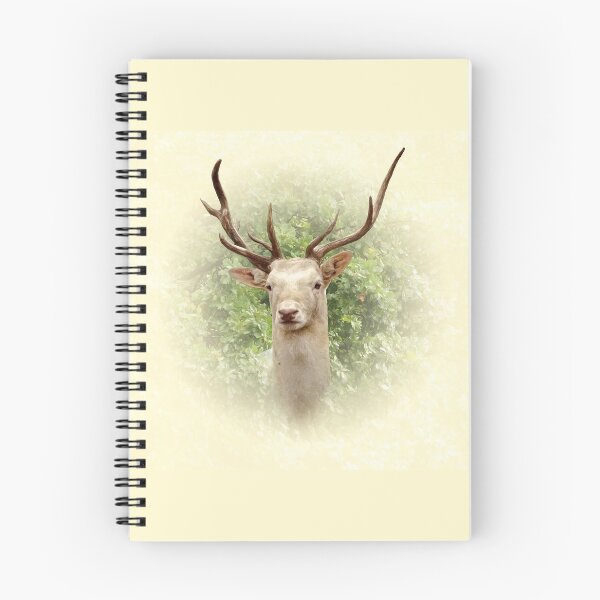 Item preview, White Fallow Deer designed and sold by Guardi71.