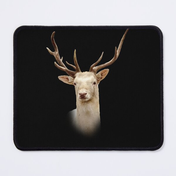 Item preview, White Fallow Deer designed and sold by Guardi71.