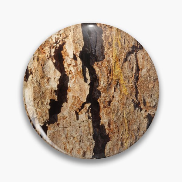 Artikelvorschau, Sonnenbeschienene europäische Lärche Baumrinde mit scharfen Schatten entworfen und verkauft von Gaboro.