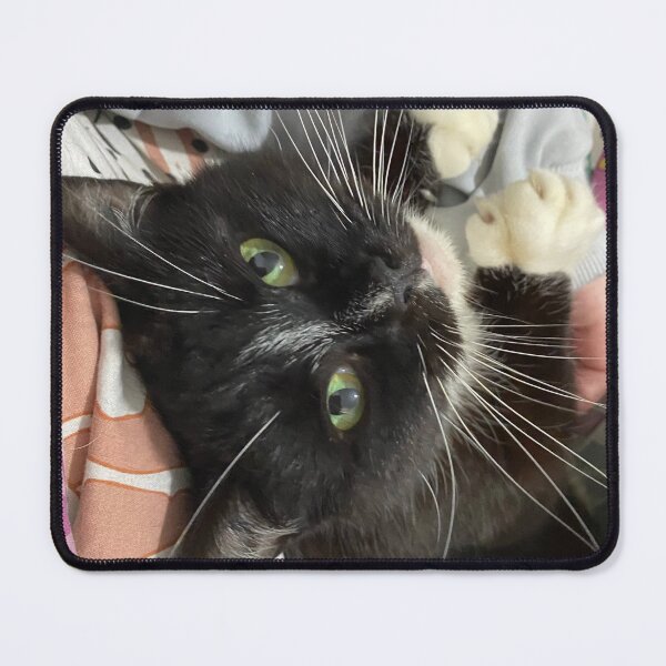Item preview, Cute cat cuddle designed and sold by TamedDragon.