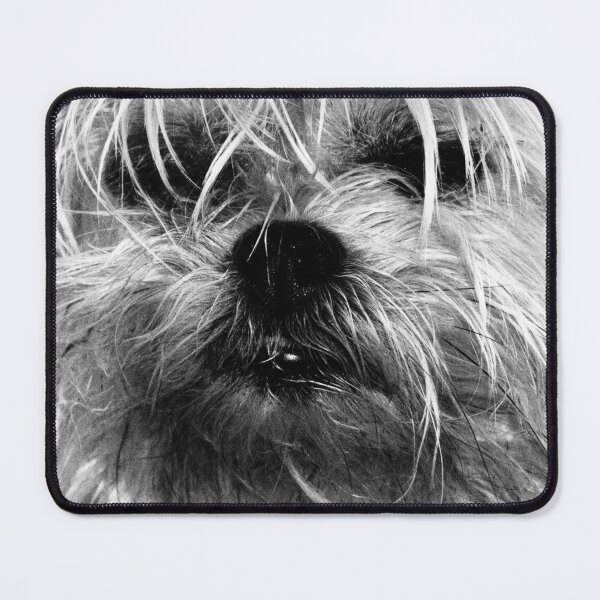 Item preview, Bryher the Mixed-up Ancle Bitter Dog  designed and sold by Hazel Jones - Rhodes .