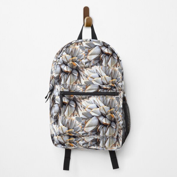 Item preview, Goose Barnacles - Lepas anatifera Conchology designed and sold by Hazel Jones - Rhodes .