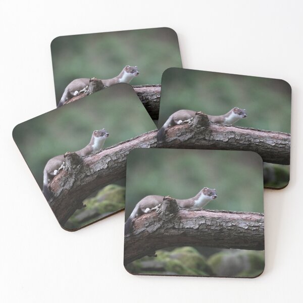 Item preview, stoat on the hunt designed and sold by RedGrouse.
