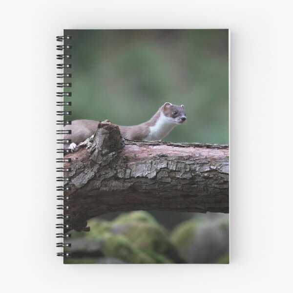 Item preview, stoat on the hunt designed and sold by RedGrouse.
