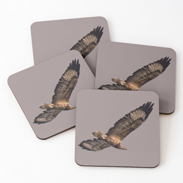 Item preview, White-bellied Sea-eagle Juvenile - Australian Native Birds designed and sold by Ozjanette90.