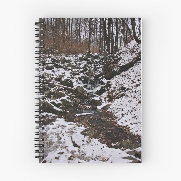 Item preview, Frozen Waterfall in the Little Carpathians designed and sold by Cissa King Photography.