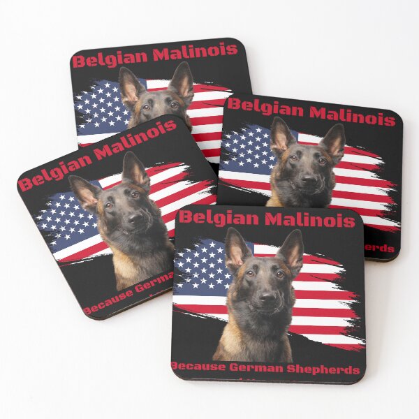 Item preview, Belgian Malinois - Because German Shepherds need Heros too!  designed and sold by Batteman87.